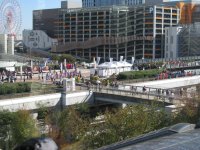 IMG_3695.JPG